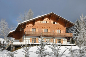 Gorgeous and spacious chalet near the center